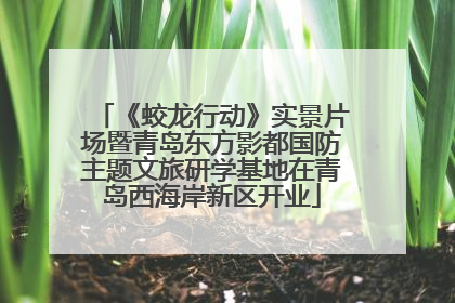 《蛟龙行动》实景片场暨青岛东方影都国防主题文旅研学基地在青岛西海岸新区开业