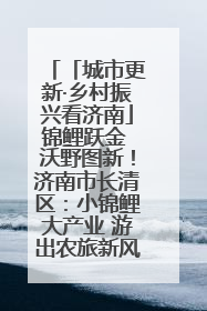 「城市更新·乡村振兴看济南」锦鲤跃金 沃野图新！济南市长清区：小锦鲤大产业 游出农旅新风景