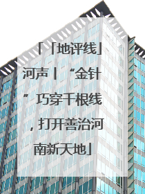 「地评线」河声丨“金针”巧穿千根线，打开善治河南新天地