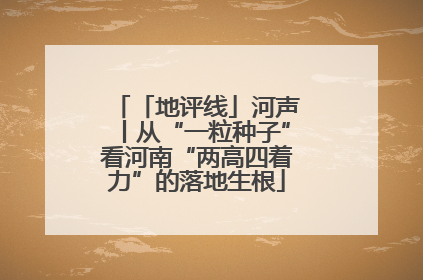 「地评线」河声丨从“一粒种子”看河南“两高四着力”的落地生根