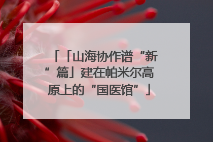 「山海协作谱“新”篇」建在帕米尔高原上的“国医馆”