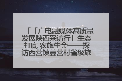 「广电融媒体高质量发展陕西采访行」生态打底 农旅生金——探访西营镇蔓营村省级旅游示范村的振兴密码
