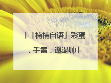 「楠楠自语」彩蛋，手雷，邋遢帅