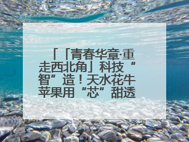 「青春华章·重走西北角」科技“智”造！天水花牛苹果用“芯”甜透你的味蕾