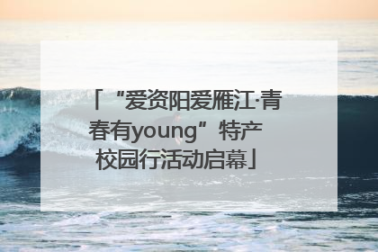 “爱资阳爱雁江·青春有young”特产校园行活动启幕