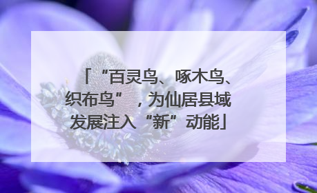 “百灵鸟、啄木鸟、织布鸟”，为仙居县域发展注入“新”动能