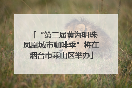 “第二届黄海明珠·凤凰城市咖啡季”将在烟台市莱山区举办