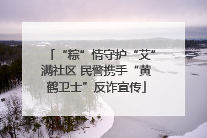 “粽”情守护“艾”满社区 民警携手“黄鹤卫士”反诈宣传