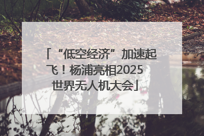 “低空经济”加速起飞！杨浦亮相2025世界无人机大会