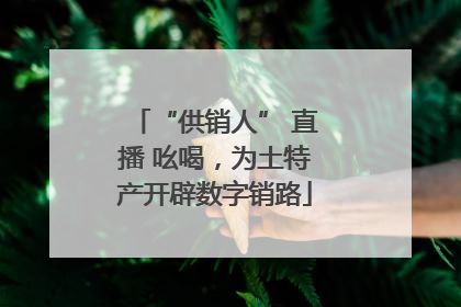 “供销人” 直播 吆喝，为土特产开辟数字销路