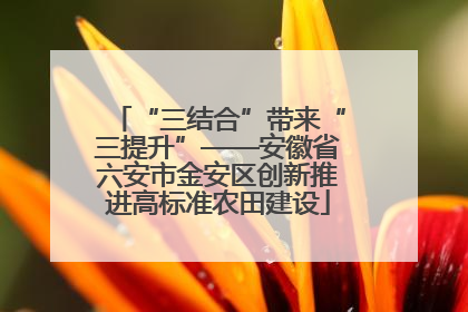 “三结合”带来“三提升”——安徽省六安市金安区创新推进高标准农田建设