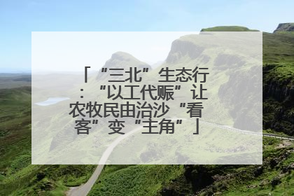 “三北”生态行：“以工代赈”让农牧民由治沙“看客”变“主角”