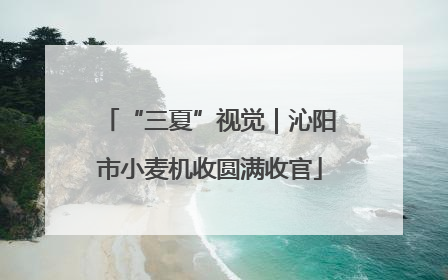“三夏”视觉｜沁阳市小麦机收圆满收官