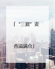 “三夏”麦香溢满仓