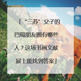“三苏”父子的巴蜀朋友圈有哪些人？这场书画文献展上能找到答案