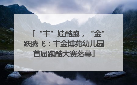 “丰”娃酷跑，“金”跃腾飞：丰金博苑幼儿园首届跑酷大赛落幕