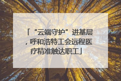 “云端守护”进基层，呼和浩特工会远程医疗精准触达职工