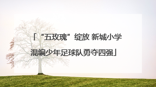 “五玫瑰”绽放 新城小学混编少年足球队勇夺四强