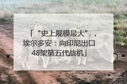 “史上规模最大”，埃尔多安：向印尼出口48架第五代战机