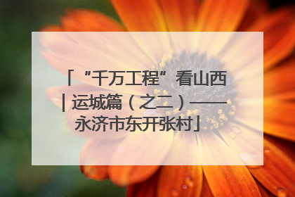 “千万工程”看山西｜运城篇（之二）——永济市东开张村