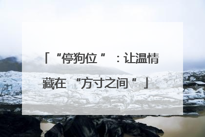 “停狗位 ”：让温情藏在 “方寸之间 ”