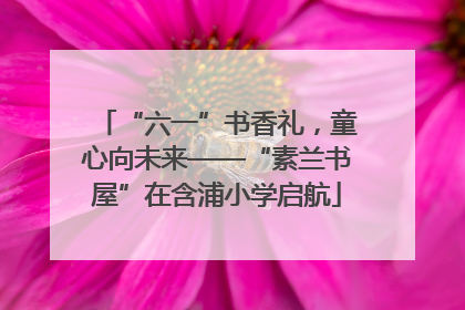 “六一”书香礼，童心向未来——“素兰书屋”在含浦小学启航