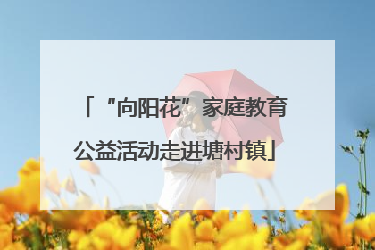 “向阳花”家庭教育公益活动走进塘村镇