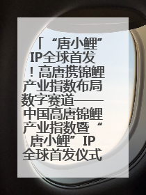 “唐小鲤”IP全球首发！高唐携锦鲤产业指数布局数字赛道——中国高唐锦鲤产业指数暨“唐小鲤”IP全球首发仪式在杭州举行