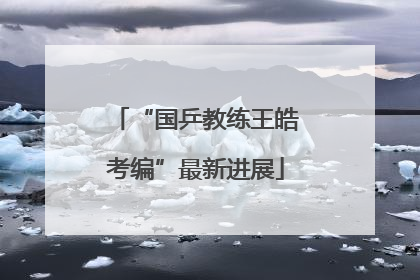 “国乒教练王皓考编”最新进展