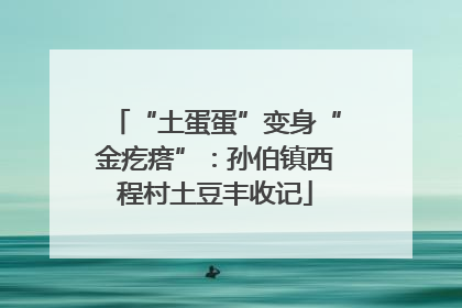 “土蛋蛋”变身“金疙瘩”：孙伯镇西程村土豆丰收记