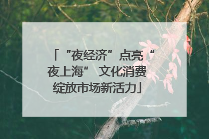 “夜经济”点亮“夜上海” 文化消费绽放市场新活力