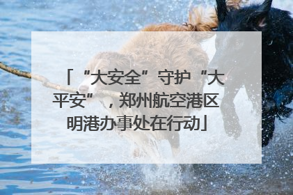 “大安全”守护“大平安”，郑州航空港区明港办事处在行动