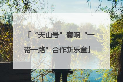 “天山号”奏响“一带一路”合作新乐章