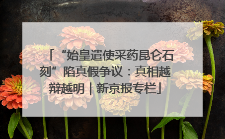 “始皇遣使采药昆仑石刻”陷真假争议：真相越辩越明｜新京报专栏