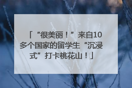“很美丽！”来自10多个国家的留学生“沉浸式”打卡桃花山！