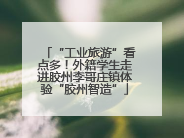 “工业旅游”看点多！外籍学生走进胶州李哥庄镇体验“胶州智造”