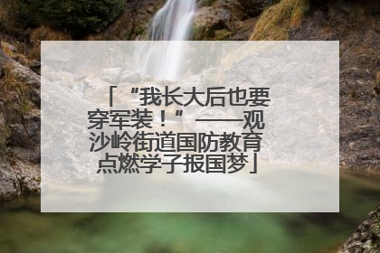 “我长大后也要穿军装！”——观沙岭街道国防教育点燃学子报国梦