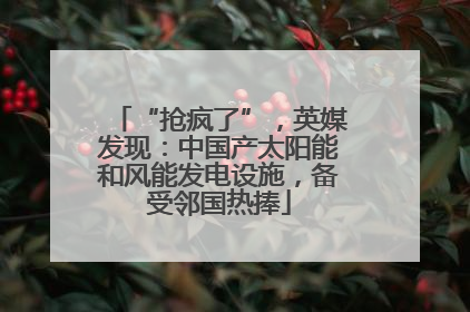 “抢疯了”，英媒发现：中国产太阳能和风能发电设施，备受邻国热捧