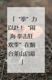 “拳”力以赴！“闹海·拳击狂欢季”在烟台莱山启幕