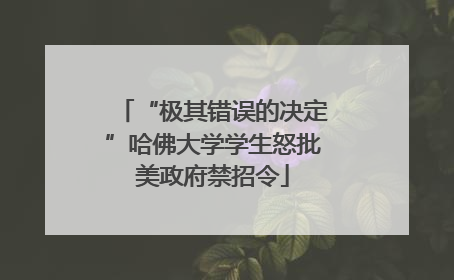 “极其错误的决定”哈佛大学学生怒批美政府禁招令