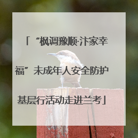 “枫调豫顺·汴家幸福”未成年人安全防护基层行活动走进兰考