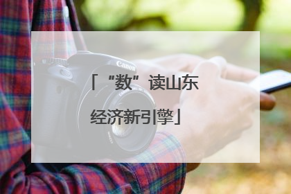 “数”读山东经济新引擎