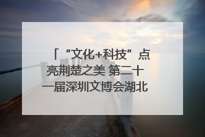 “文化+科技”点亮荆楚之美 第二十一届深圳文博会湖北馆抢“鲜”看