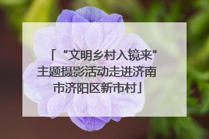 “文明乡村入镜来”主题摄影活动走进济南市济阳区新市村