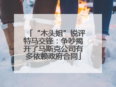 “木头姐”锐评特马交锋：争吵揭开了马斯克公司有多依赖政府合同