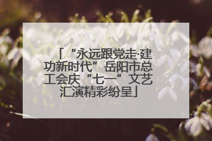 “永远跟党走·建功新时代”岳阳市总工会庆“七一”文艺汇演精彩纷呈