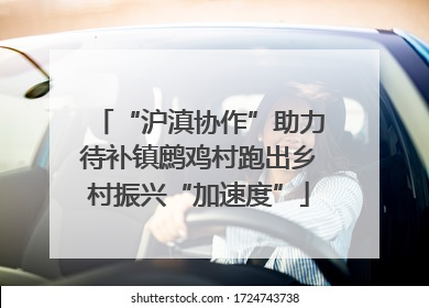 “沪滇协作”助力待补镇鹧鸡村跑出乡村振兴“加速度”