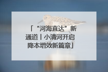 “河海直达”新通道丨小清河开启降本增效新篇章