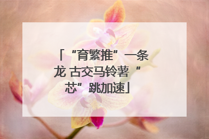 “育繁推”一条龙 古交马铃薯“芯”跳加速