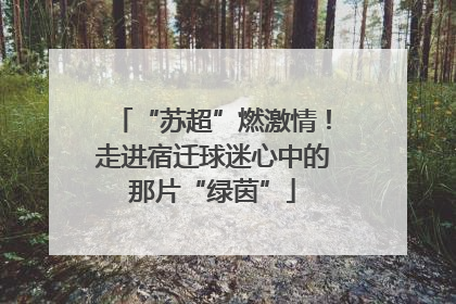 “苏超”燃激情！走进宿迁球迷心中的那片“绿茵”